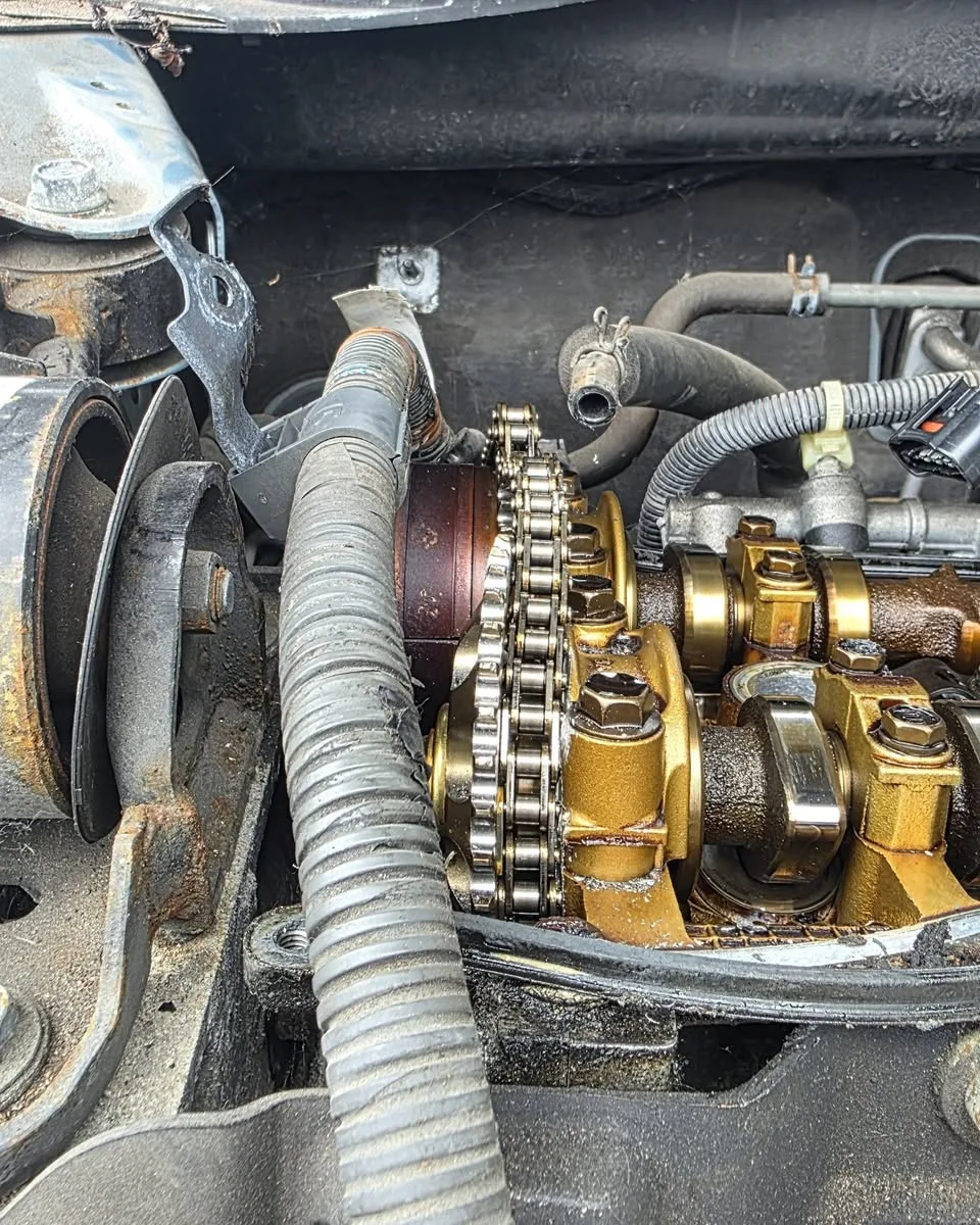 An engine with its valve cover off, showing the timing chain and camshafts